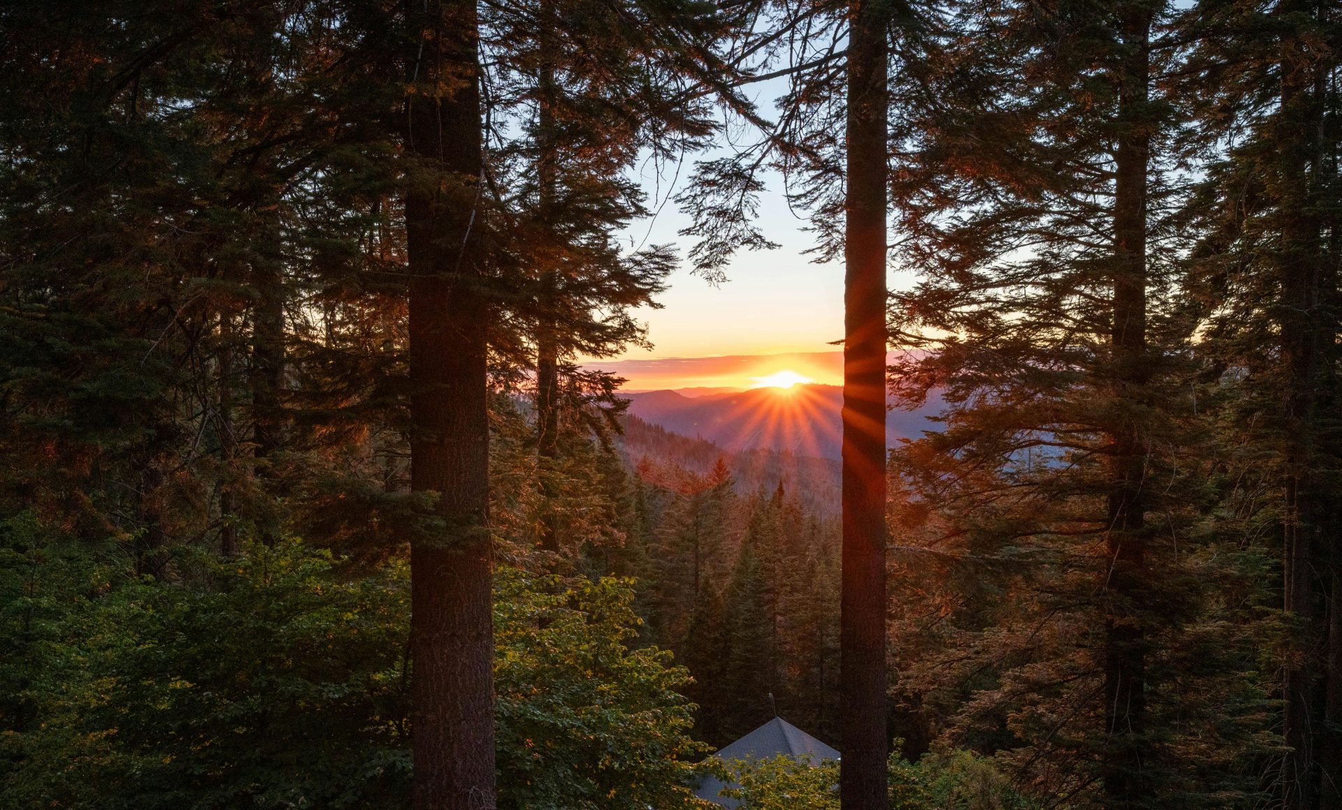 Sun light with nature  views